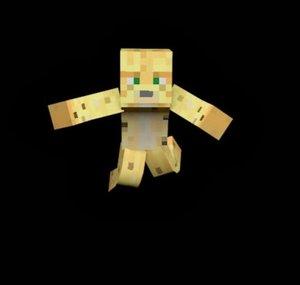 CheetahCrafter