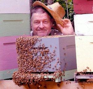 Don The Fat Bee Man