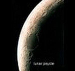 finalfilmsmaker