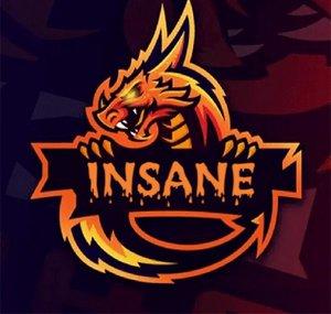 Insane Gaming RJ