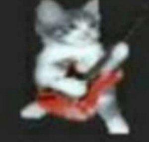 Licença😼