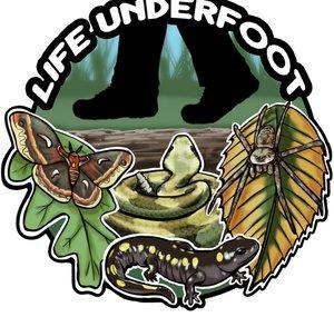 Life Underfoot