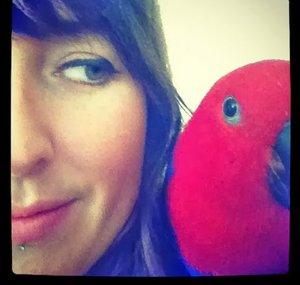 Little Bird Channel