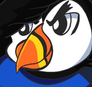 Puffin