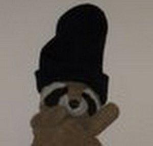 RaccoonskiCap
