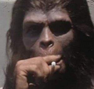 Rael's Prog Rock Documentaries.