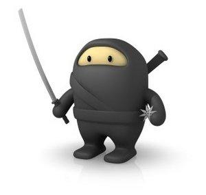 StiffTheNinja