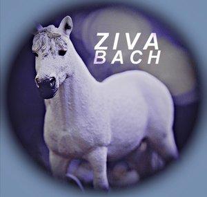 Ziva Bach