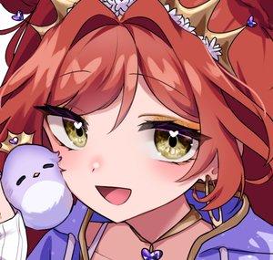 Birb Princess Clips