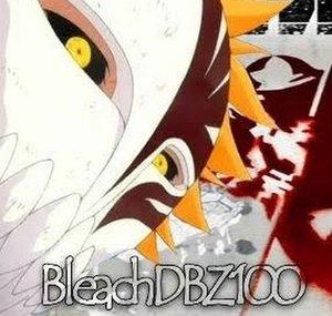 BleachDBZ100
