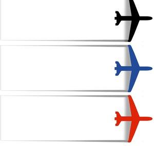 Flight Sim Host