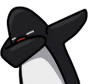Jackdab