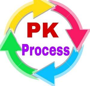 PK Process