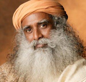 Sadhguru Chinese