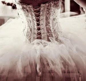 Swan lake
