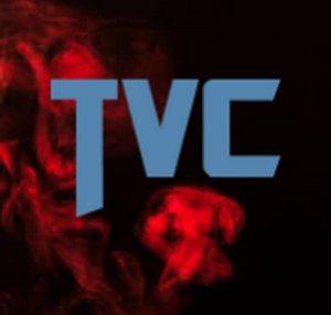The Vigilant Critic
