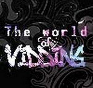 TheWorldOfVidding