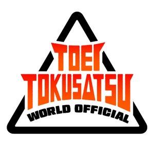 TOEI TOKUSATSU WORLD OFFICIAL