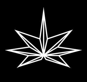 BluntskinsTV