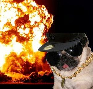 Chief Doggingfood