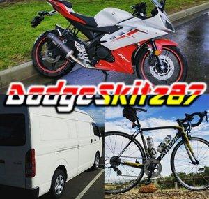 DodgeSkitz87