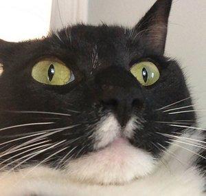 littlesleeter