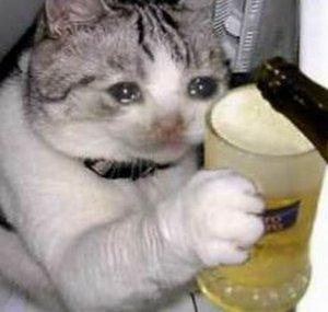meow kumf