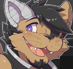 Mewsicatto