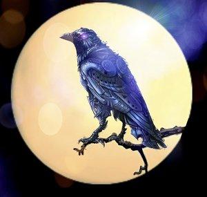 Mr Raven Nuts