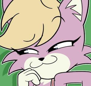 Shelly Kitten