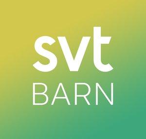 SVT Barn