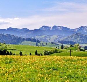 Westallgäu Tourismus