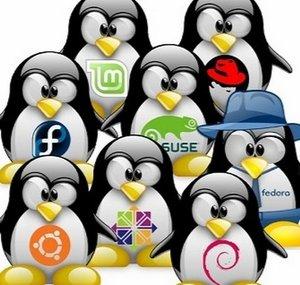 Zona Linux