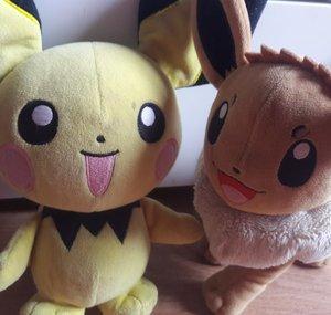 🤎Evoli et Pichu💛