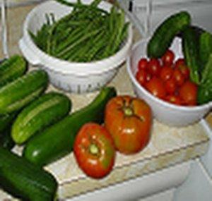 Gardening for better living
