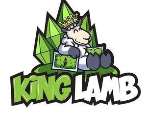 King Lamb