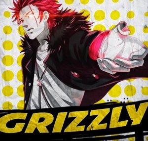 MrGrizzlyAMVs
