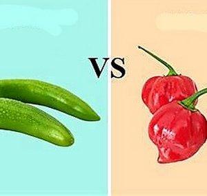 Rivalry Of Heat