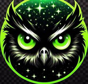 TheNightOwl