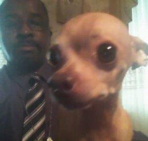 weenielongus