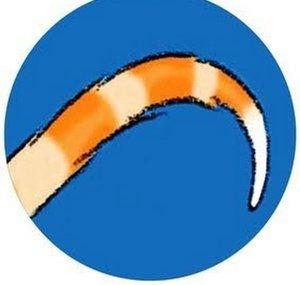 wizzywoochannel