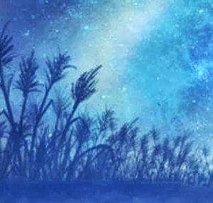 Field of Reeds