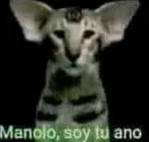 Martinetch
