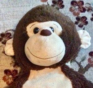 Monkey Mozey