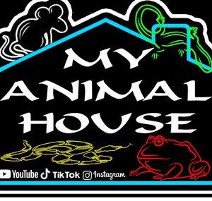 MY ANIMAL HOUSE