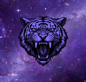 PurpleXTiger9