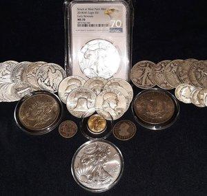 Raptor's Treasure