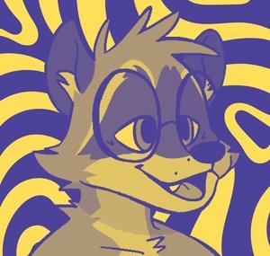 Sleepy Raccoon