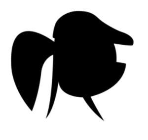 techoh - new channel in description -