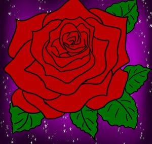The Book of Rose